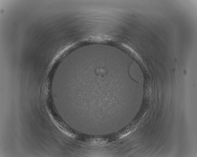 X0000085060736200703121524