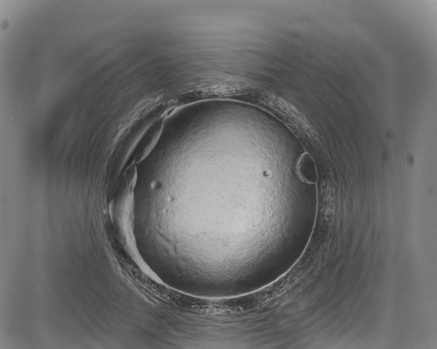 X0000085060738200703121524