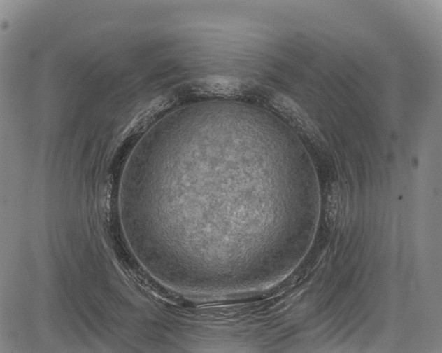 X0000085060739200703121524