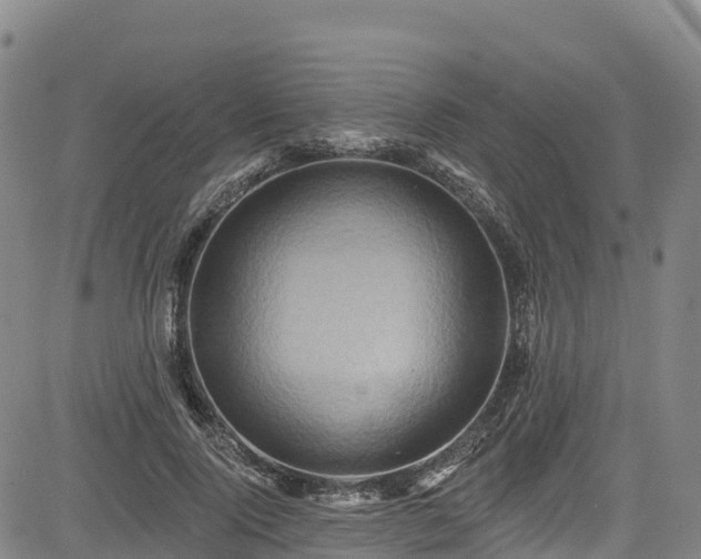 X0000085060740200703121524