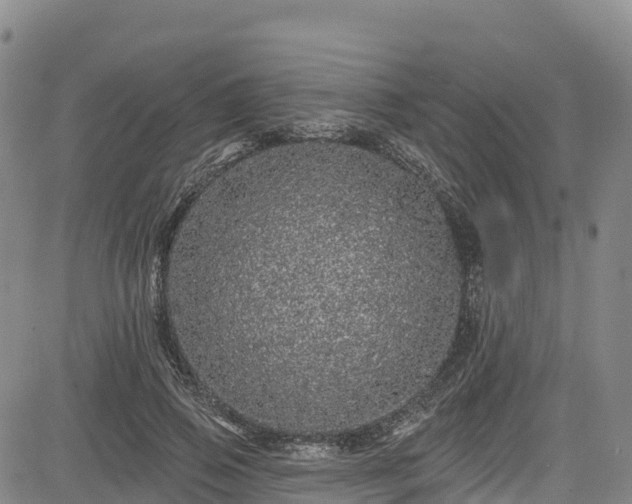 X0000085060741200703121524