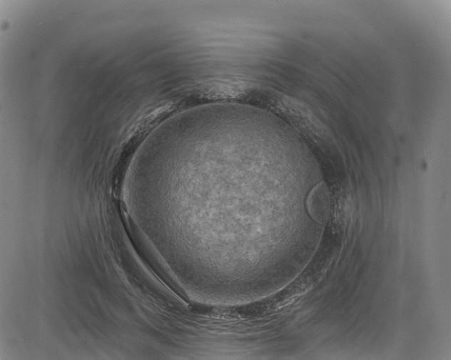 X0000085060743200703121524