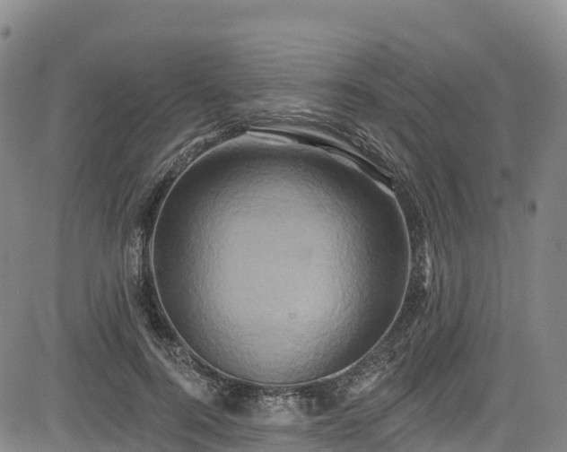 X0000085060744200703121524