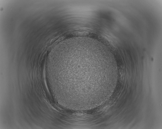 X0000085060745200703121524