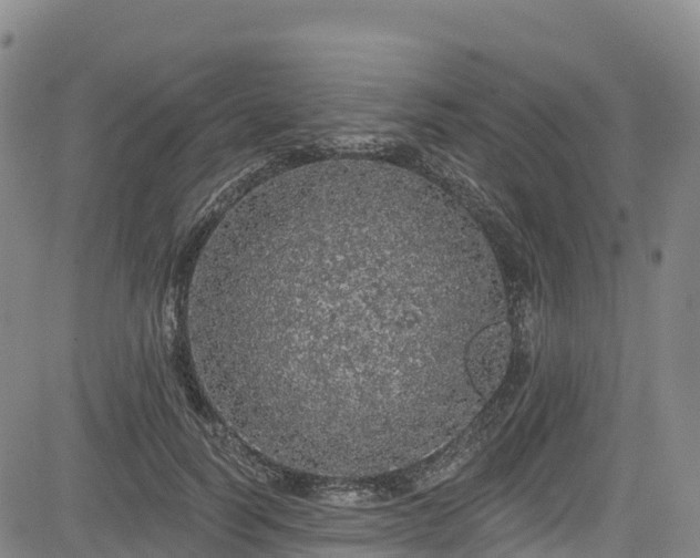 X0000085060746200703121524