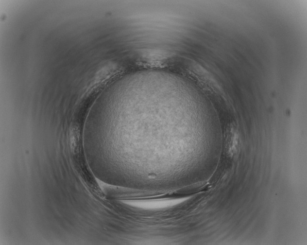 X0000085060747200703121524