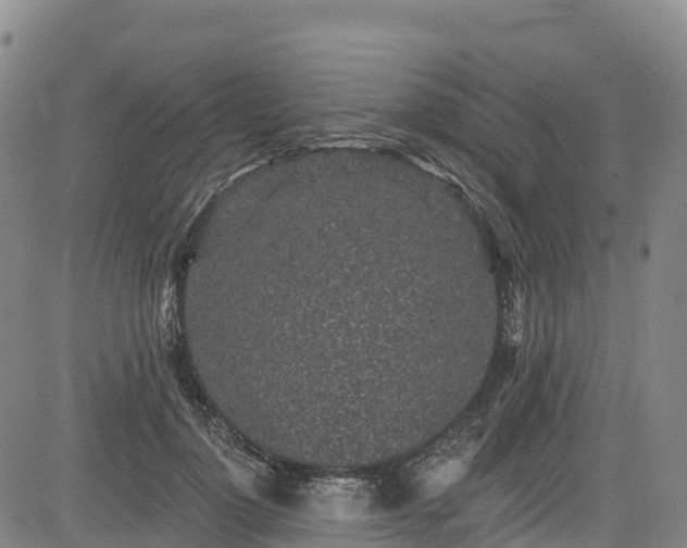 X0000085060748200703121524