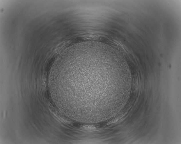 X0000085060749200703121524