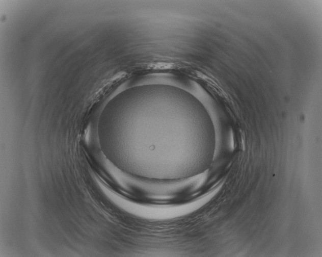 X0000085060750200703121524