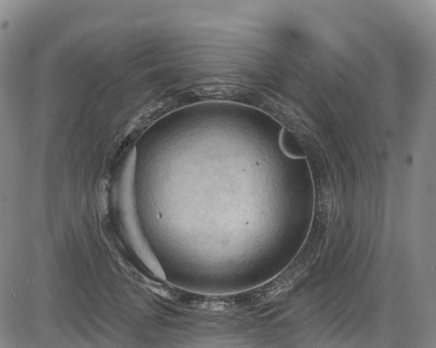 X0000085060751200703121524