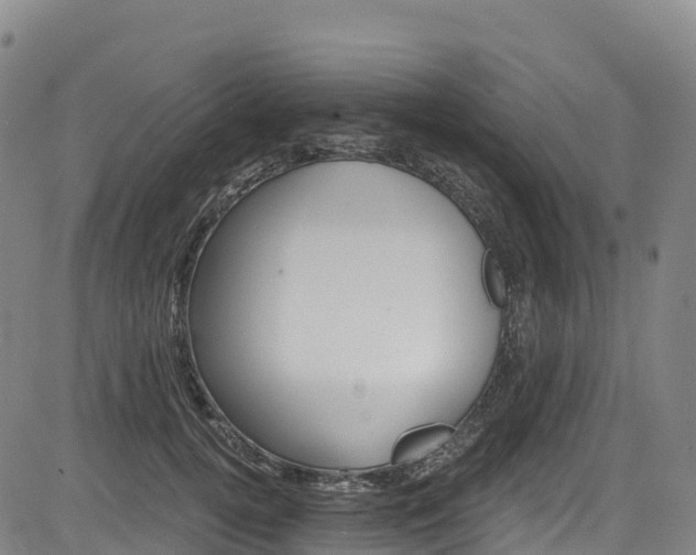 X0000085060752200703121524