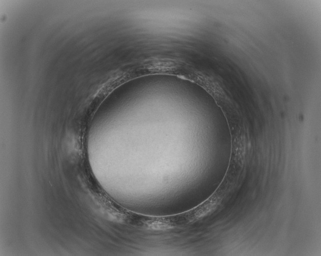 X0000085060755200703121525