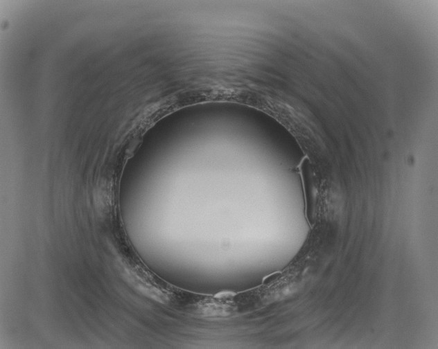 X0000085060756200703121525