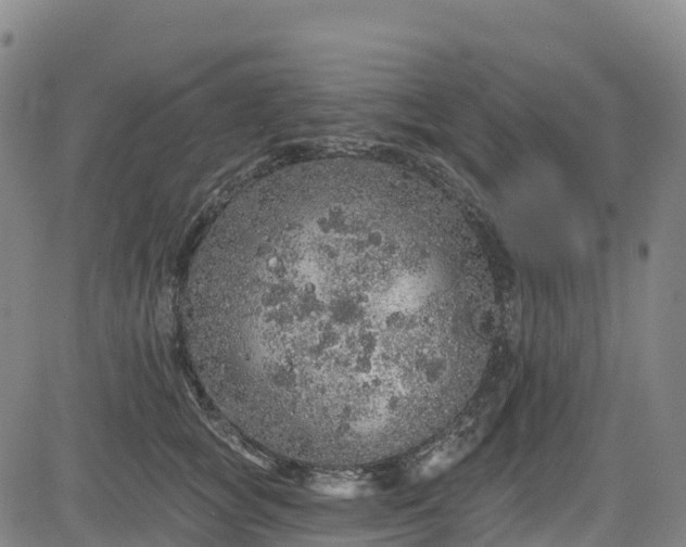 X0000085060757200703121525