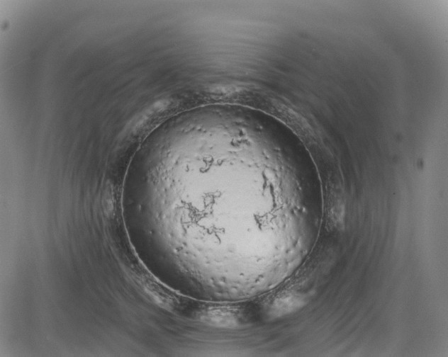 X0000085060758200703121525