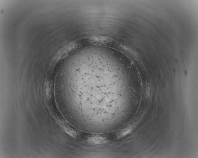 X0000085060759200703121525