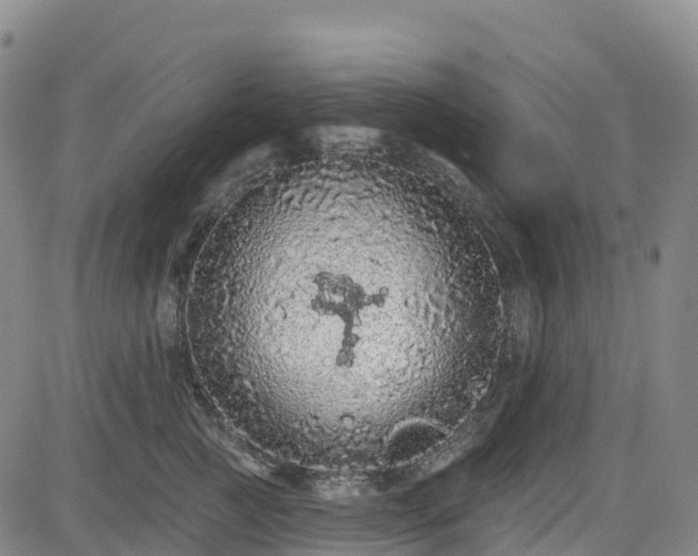 X0000085060761200703121525