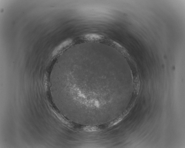 X0000085060762200703121525