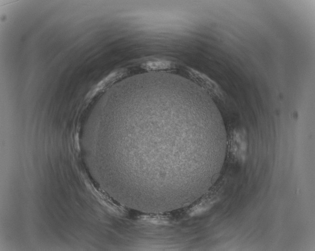 X0000085060763200703121525