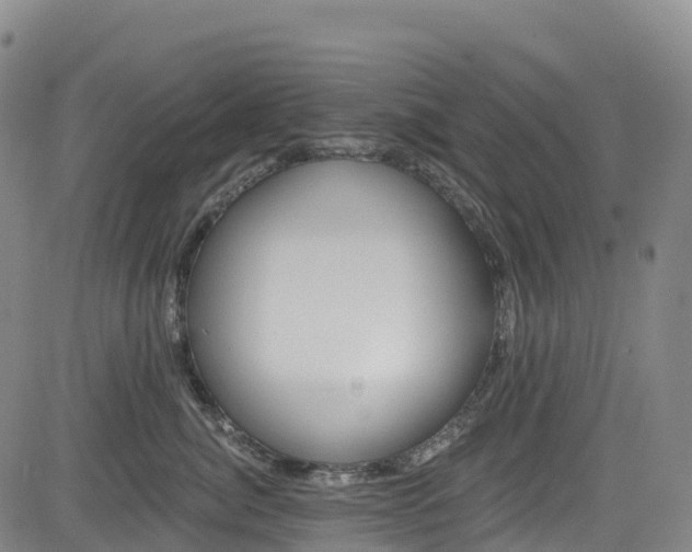 X0000085060764200703121525