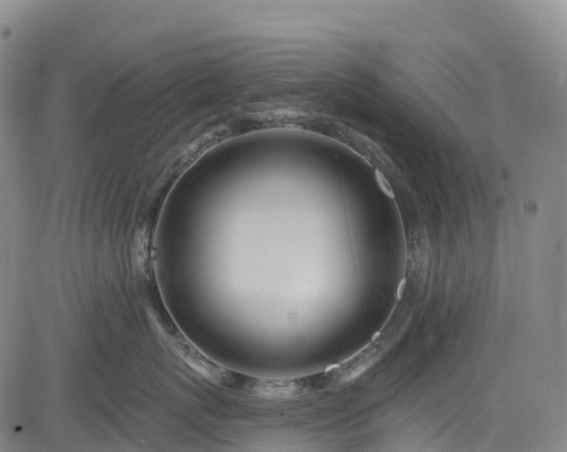 X0000085060767200703121525