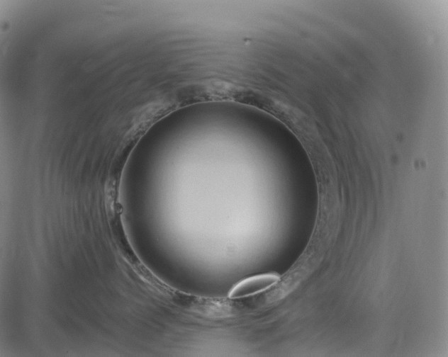 X0000085060768200703121525