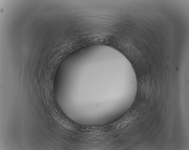 X0000085060769200703121524