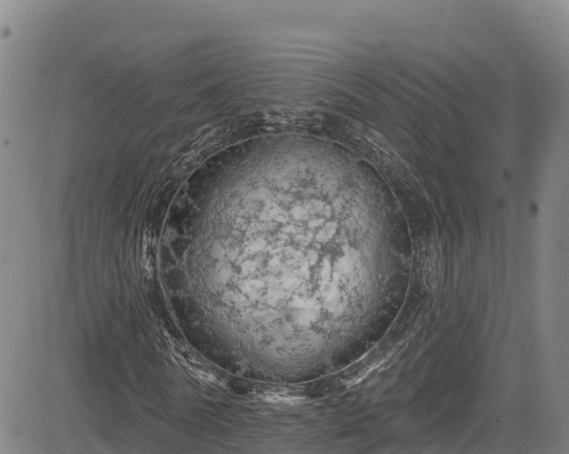 X0000085060770200703121524