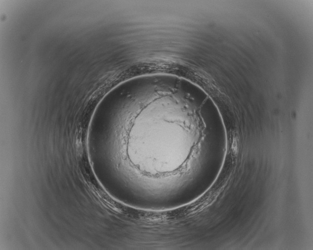 X0000085060771200703121524