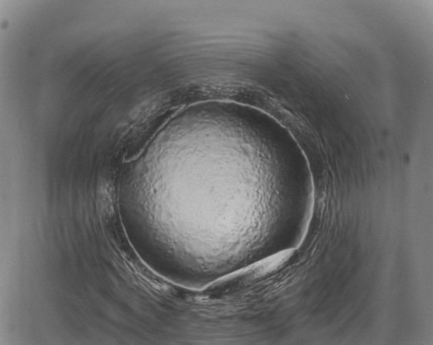 X0000085060772200703121524