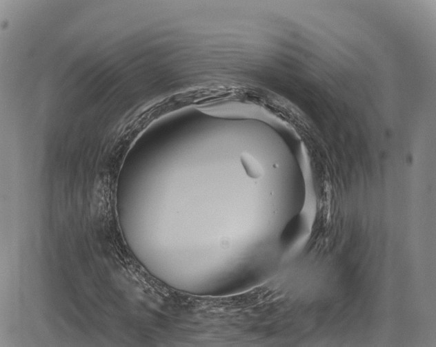 X0000085060773200703121524