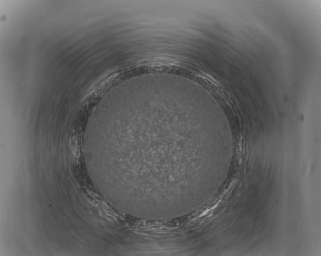 X0000085060774200703121524