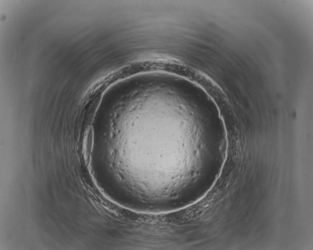 X0000085060775200703121524