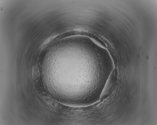 X0000085060776200703121524