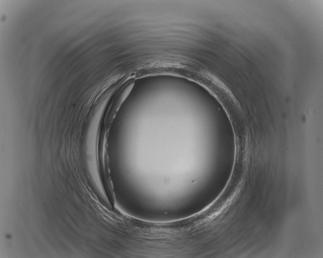 X0000085060777200703121524