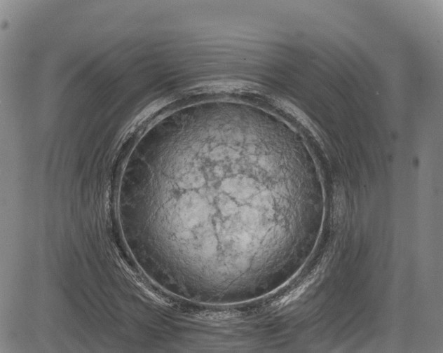 X0000085060778200703121524