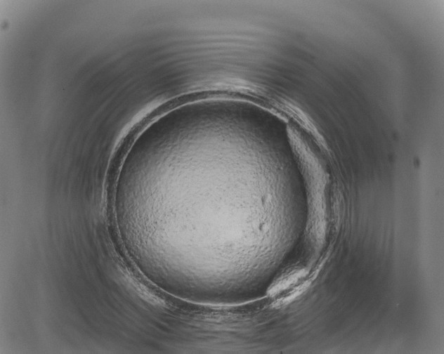 X0000085060780200703121524