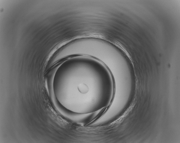 X0000085060781200703121524