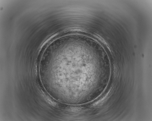 X0000085060782200703121524