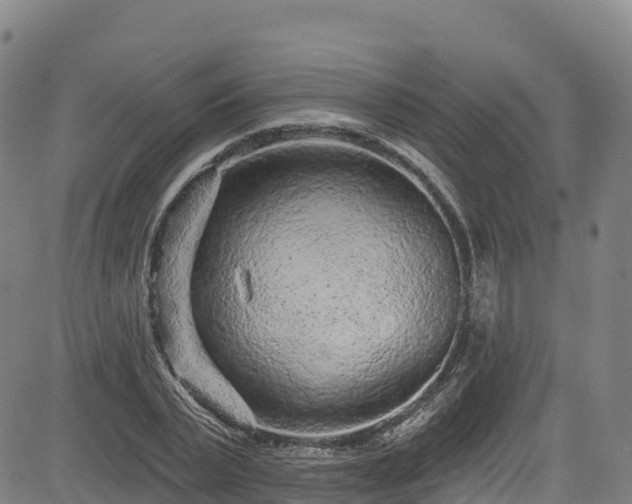 X0000085060783200703121524