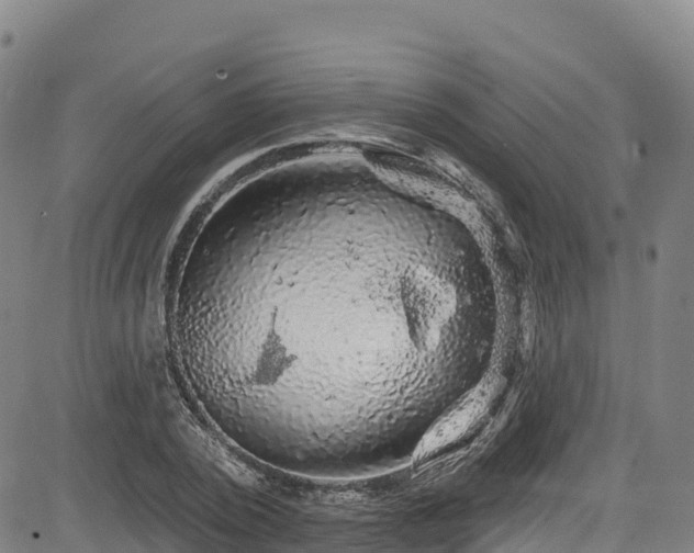 X0000085060784200703121524