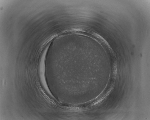 X0000085060785200703121524