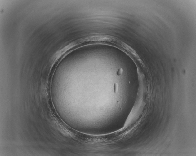 X0000085060786200703121524