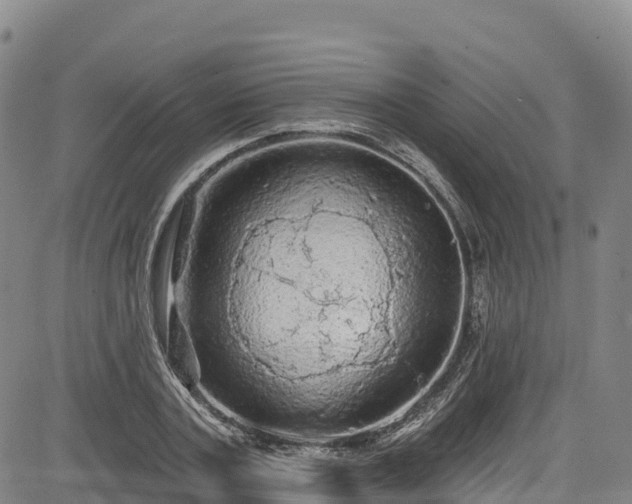 X0000085060787200703121524