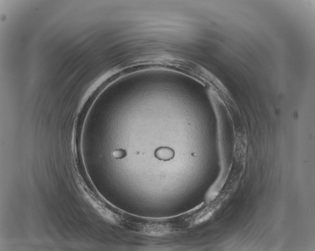 X0000085060788200703121524