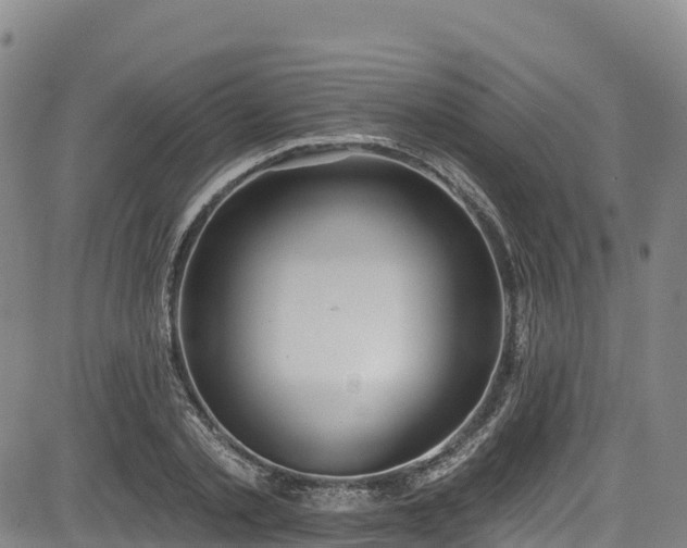 X0000085060789200703121524