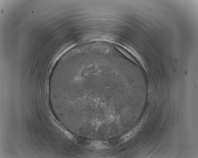 X0000085060790200703121524