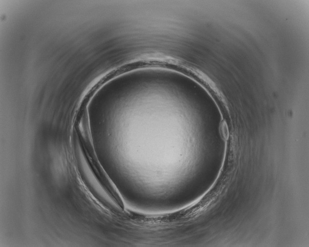 X0000085060791200703121524