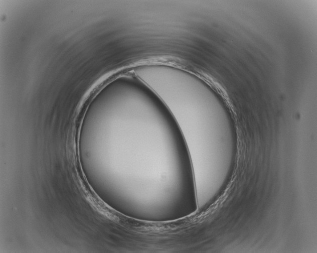 X0000085060792200703121524