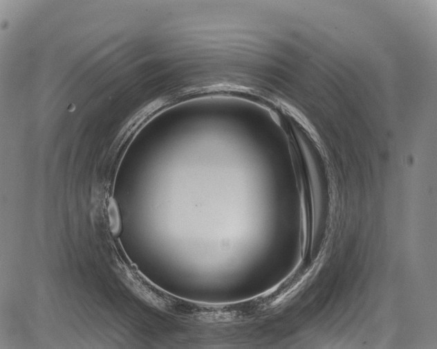 X0000085060793200703121524